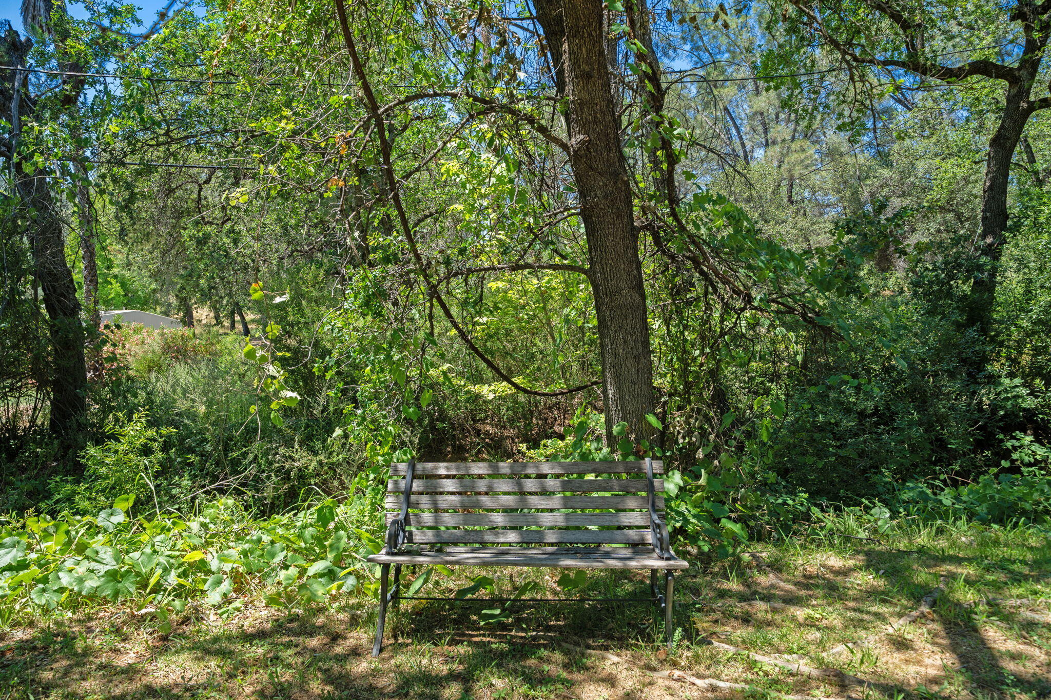 main property photo 33
