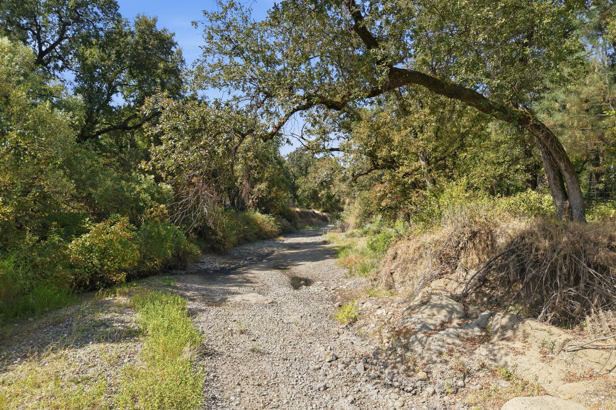 main property photo 61