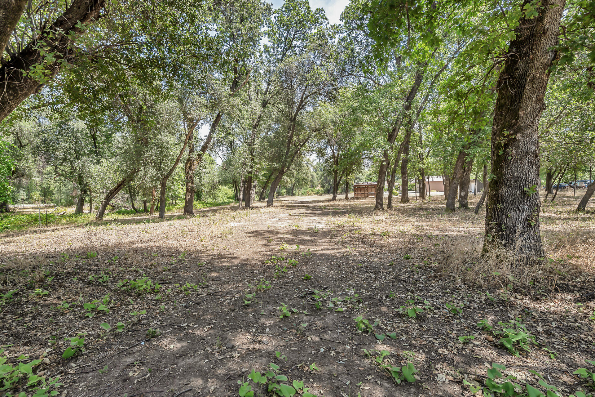 main property photo 57
