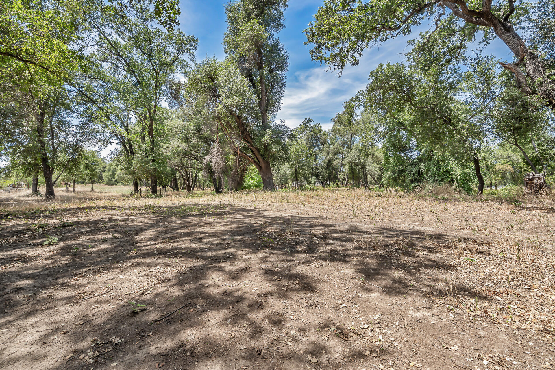 main property photo 58