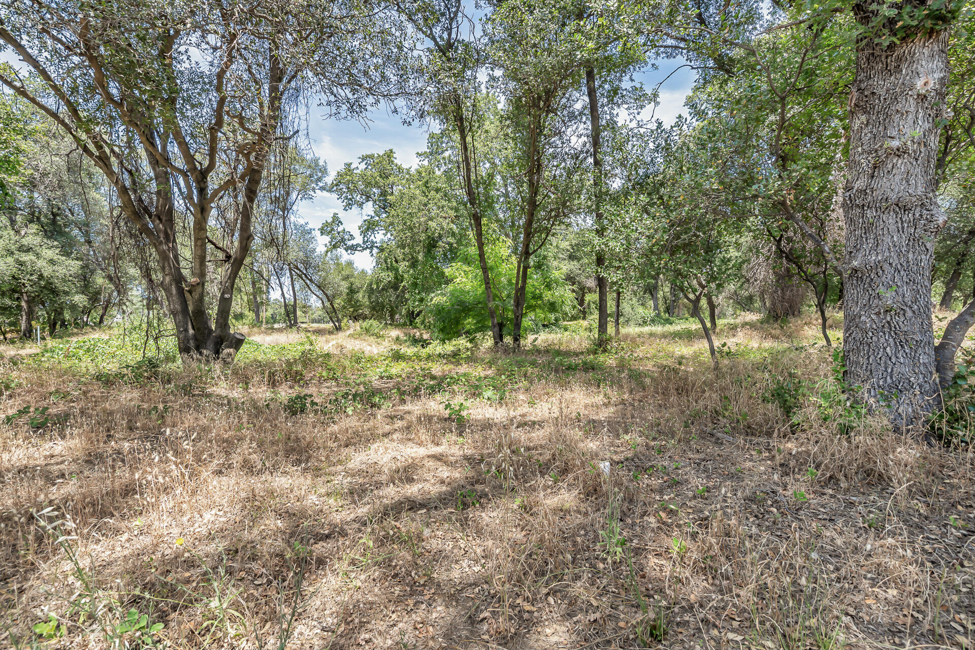main property photo 59