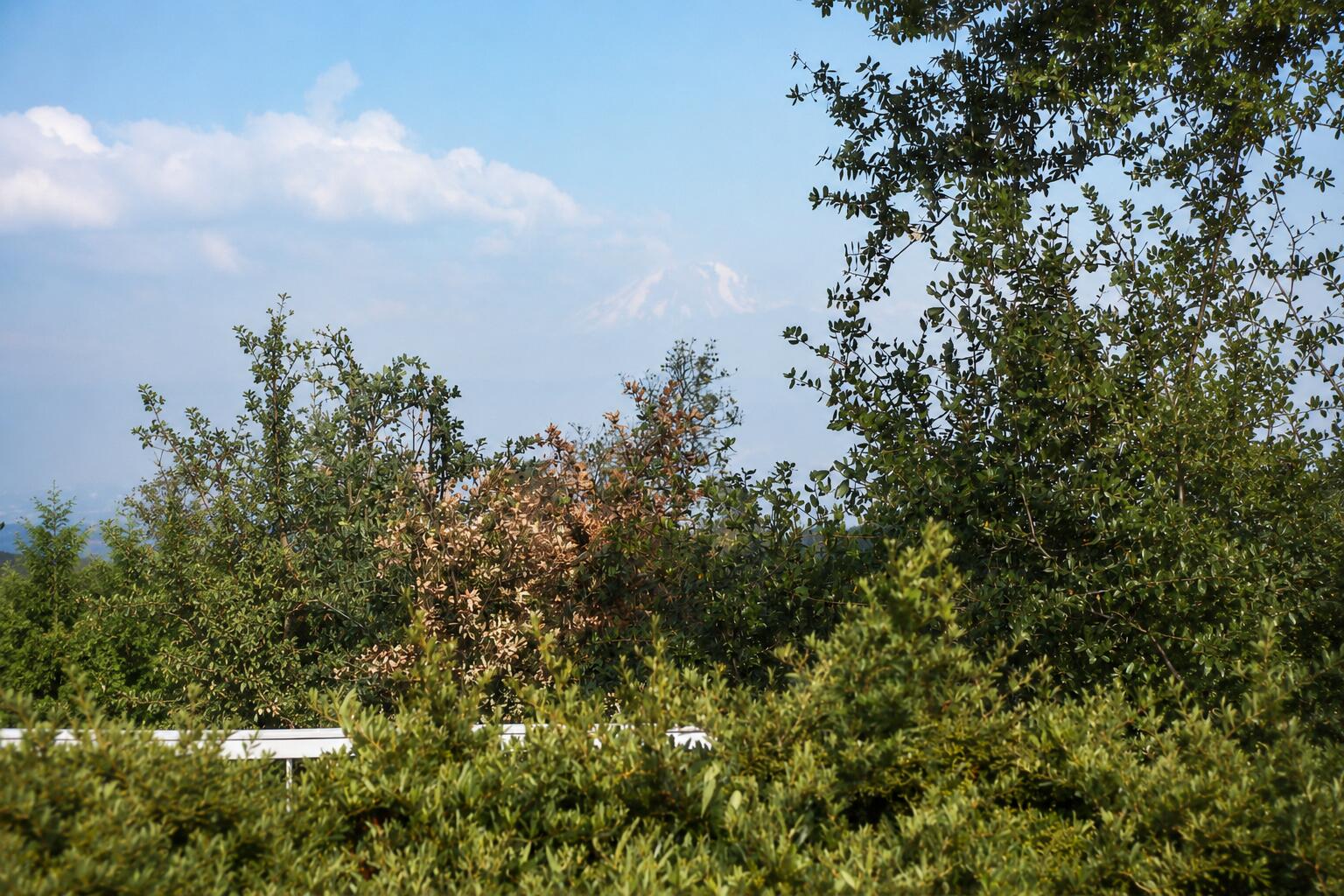 main property photo 50