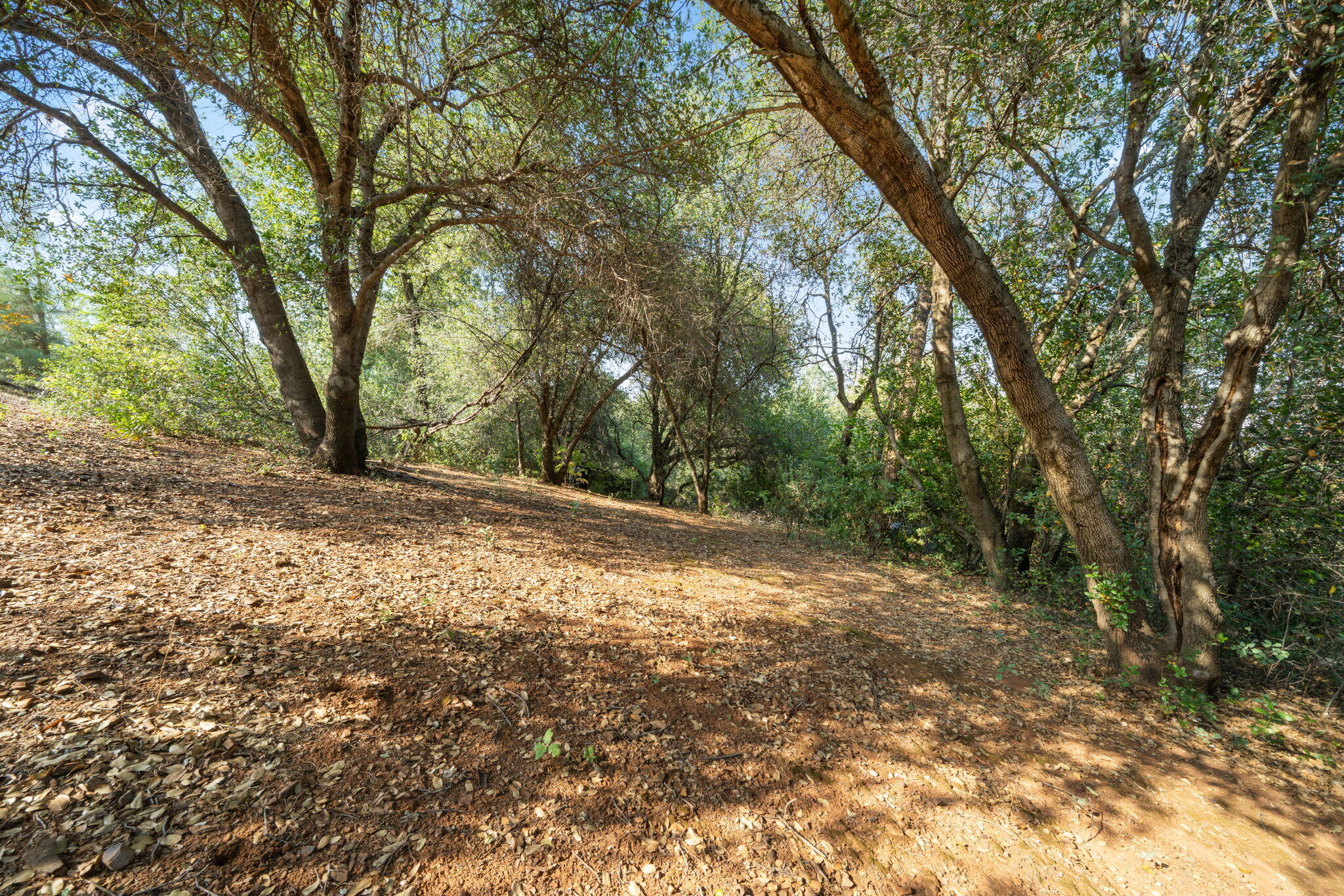 main property photo 51