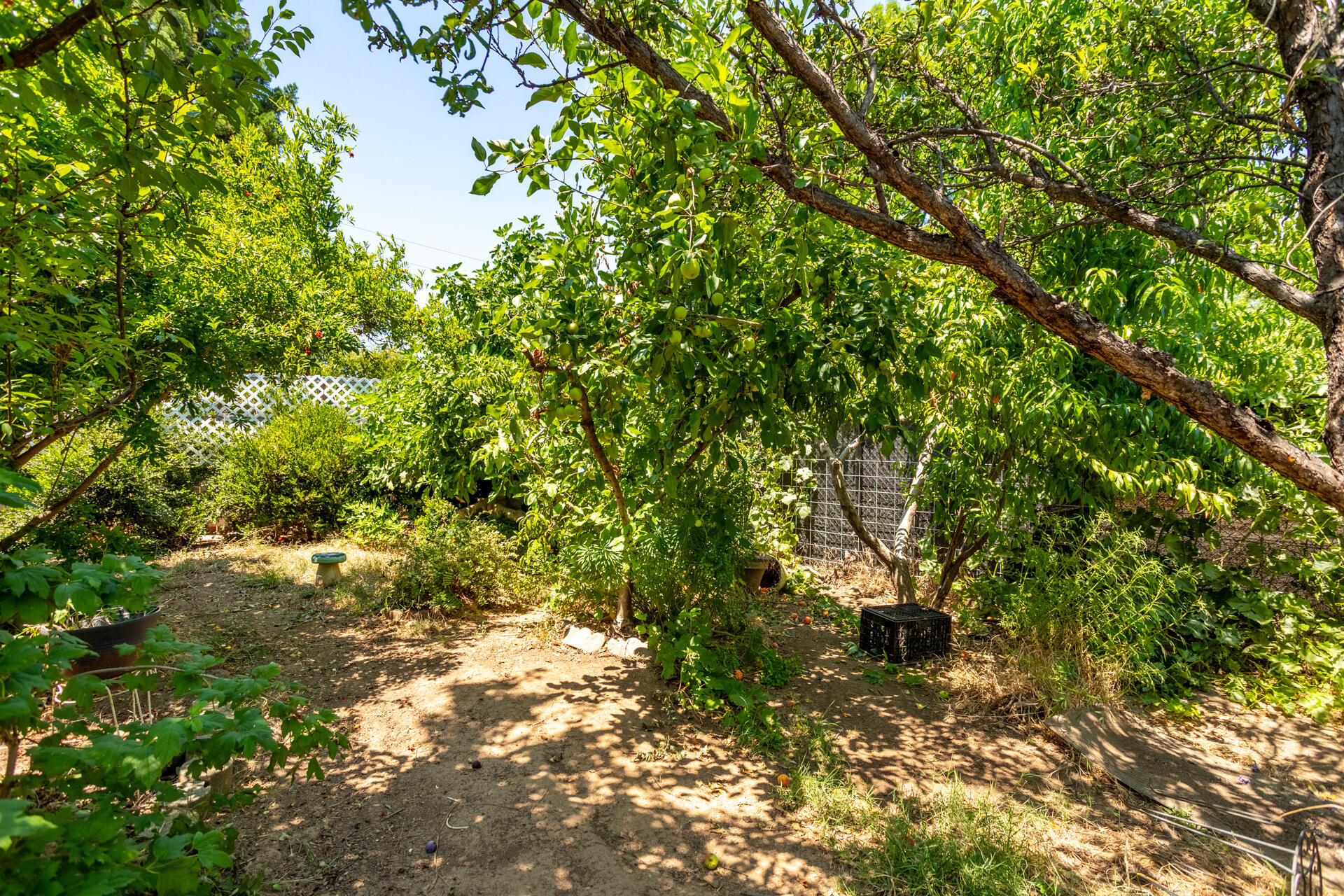 main property photo 21