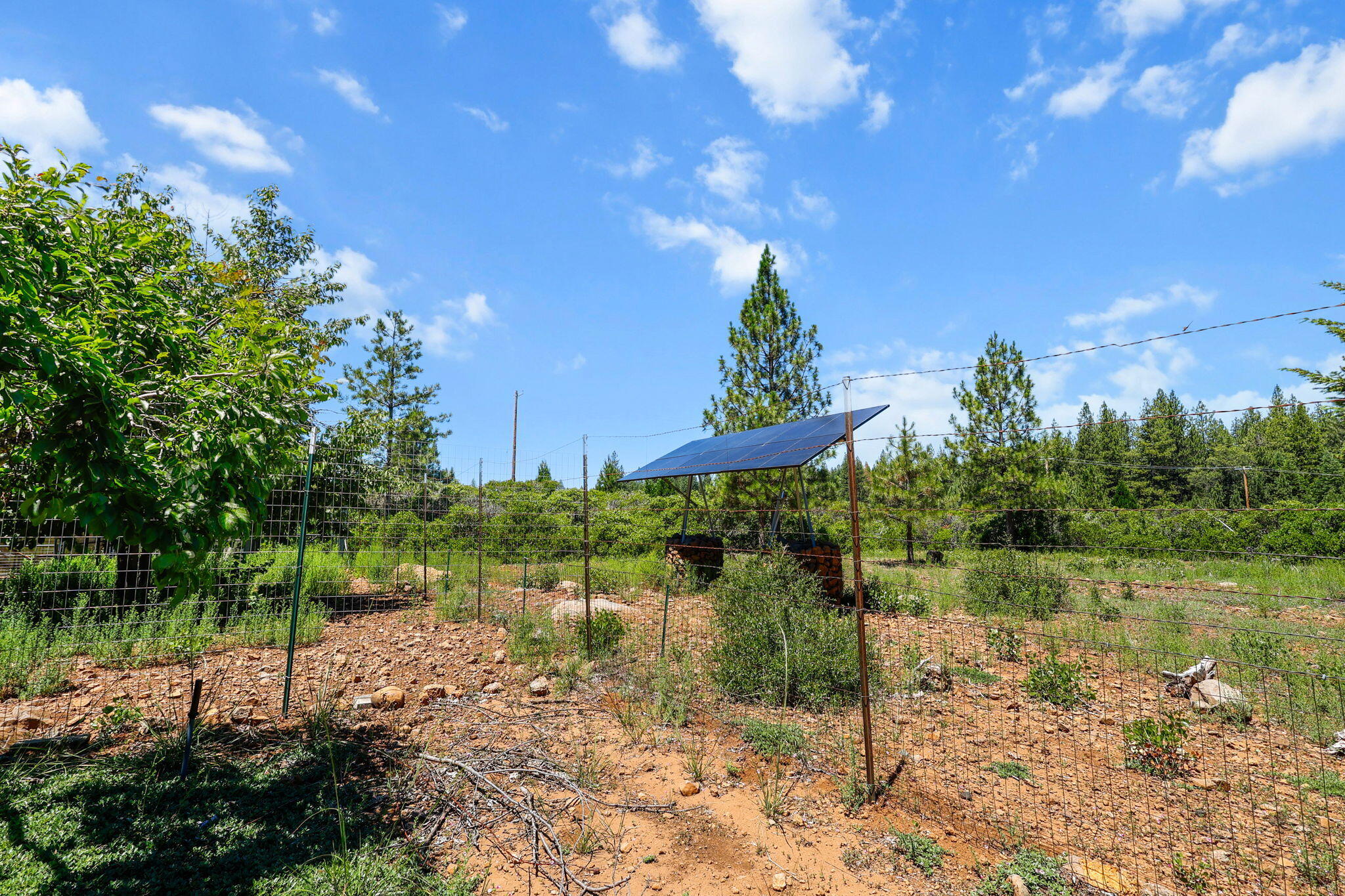 main property photo 81