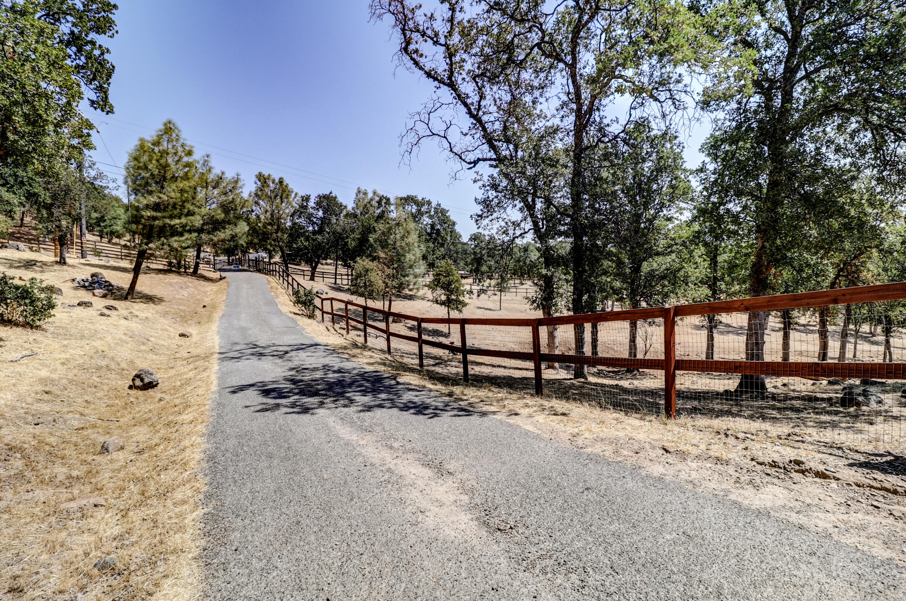 main property photo 96