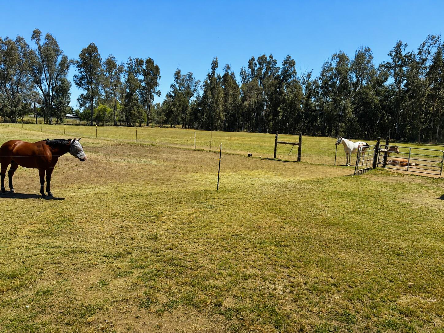 main property photo 25