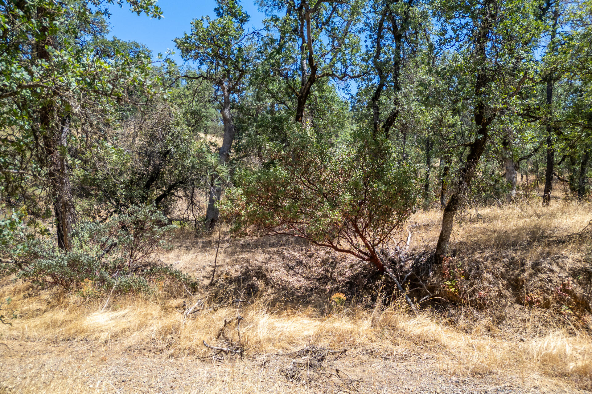 main property photo 16