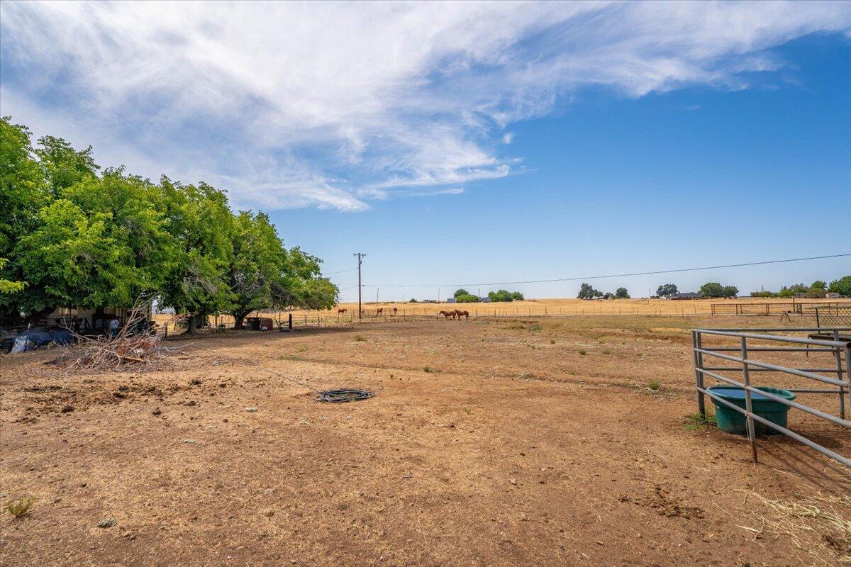 main property photo 102