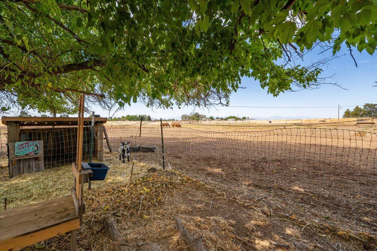 main property photo 109