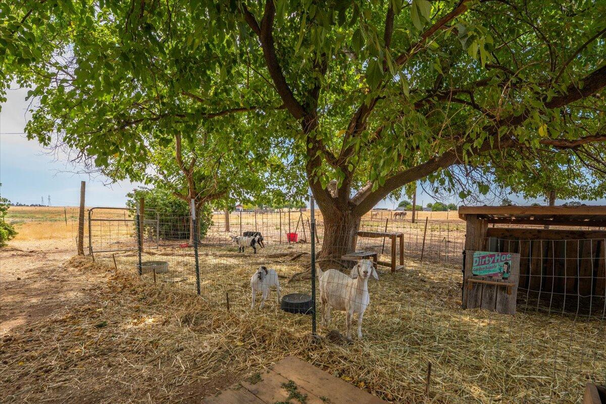 main property photo 110