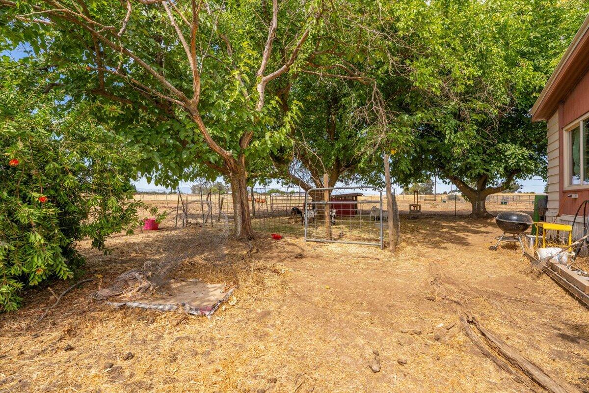 main property photo 113