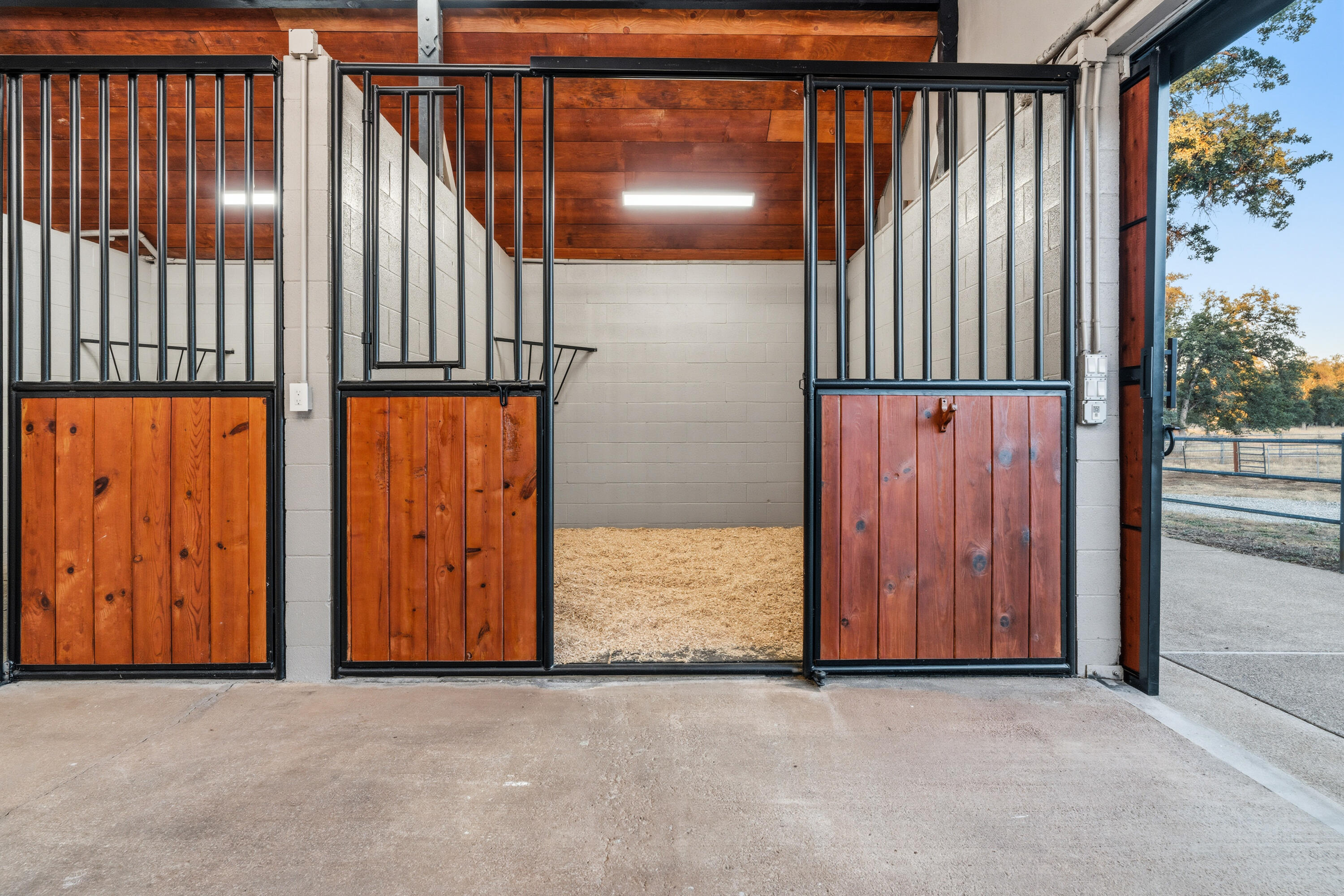 main property photo 94