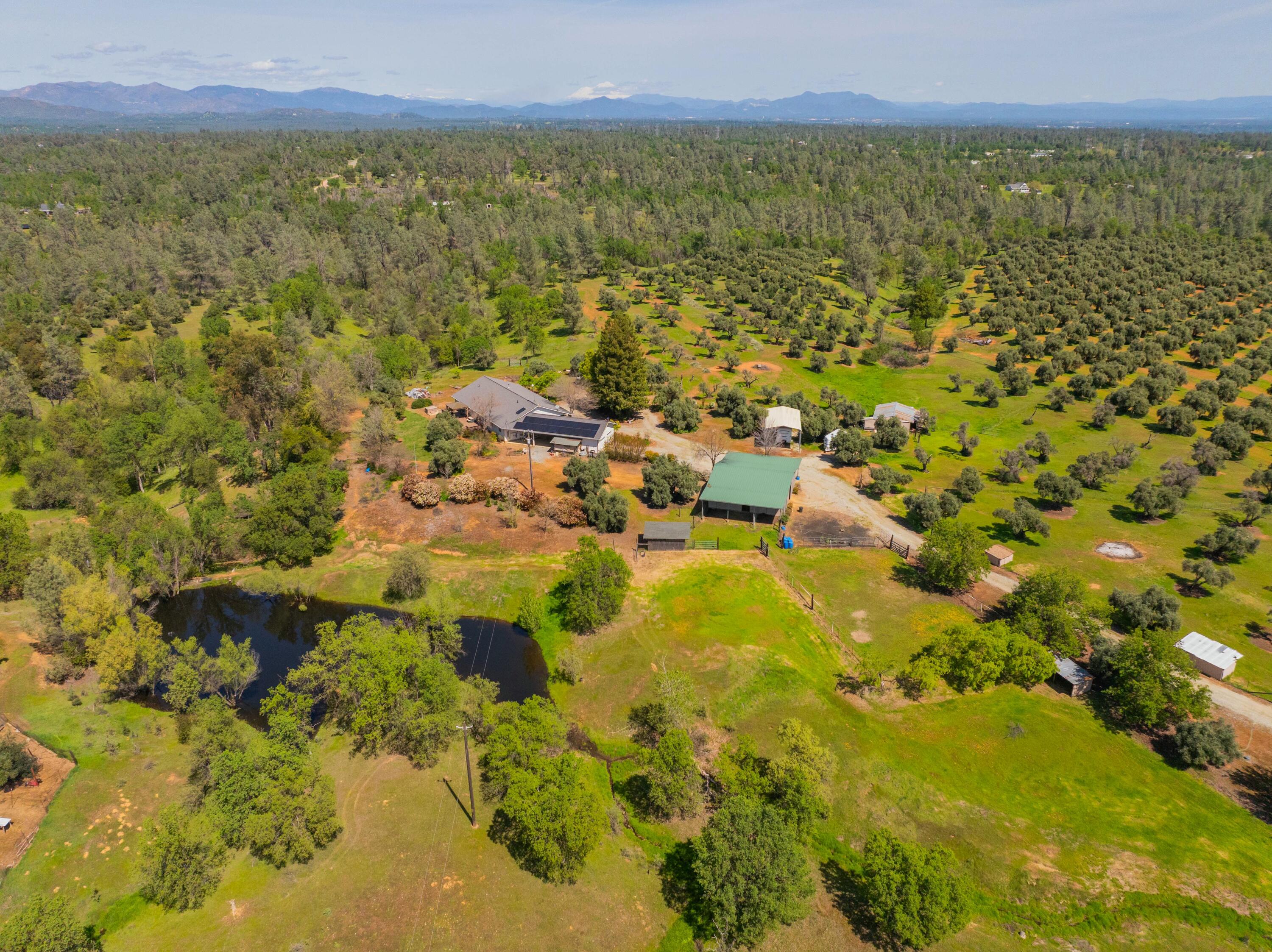 main property photo 54