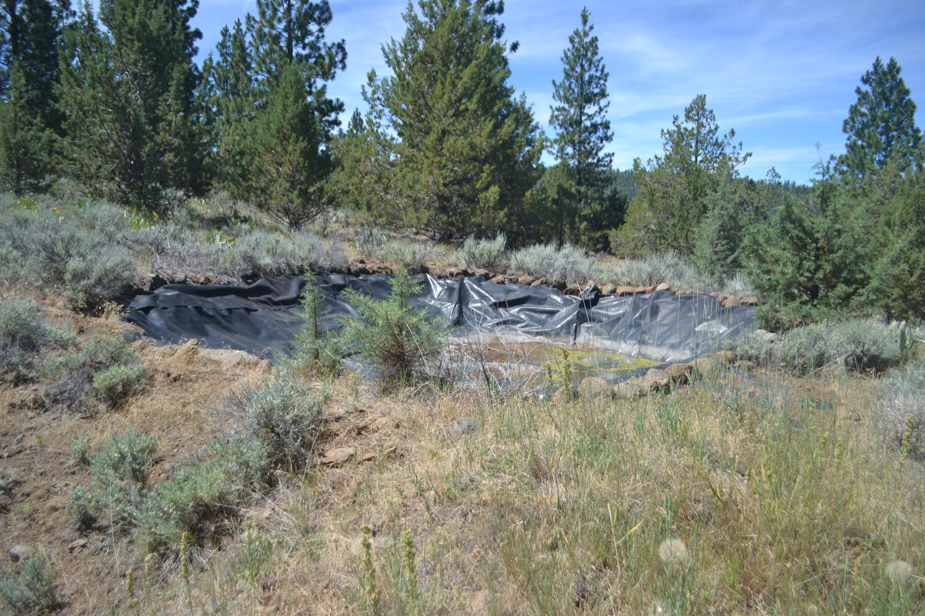 main property photo 103