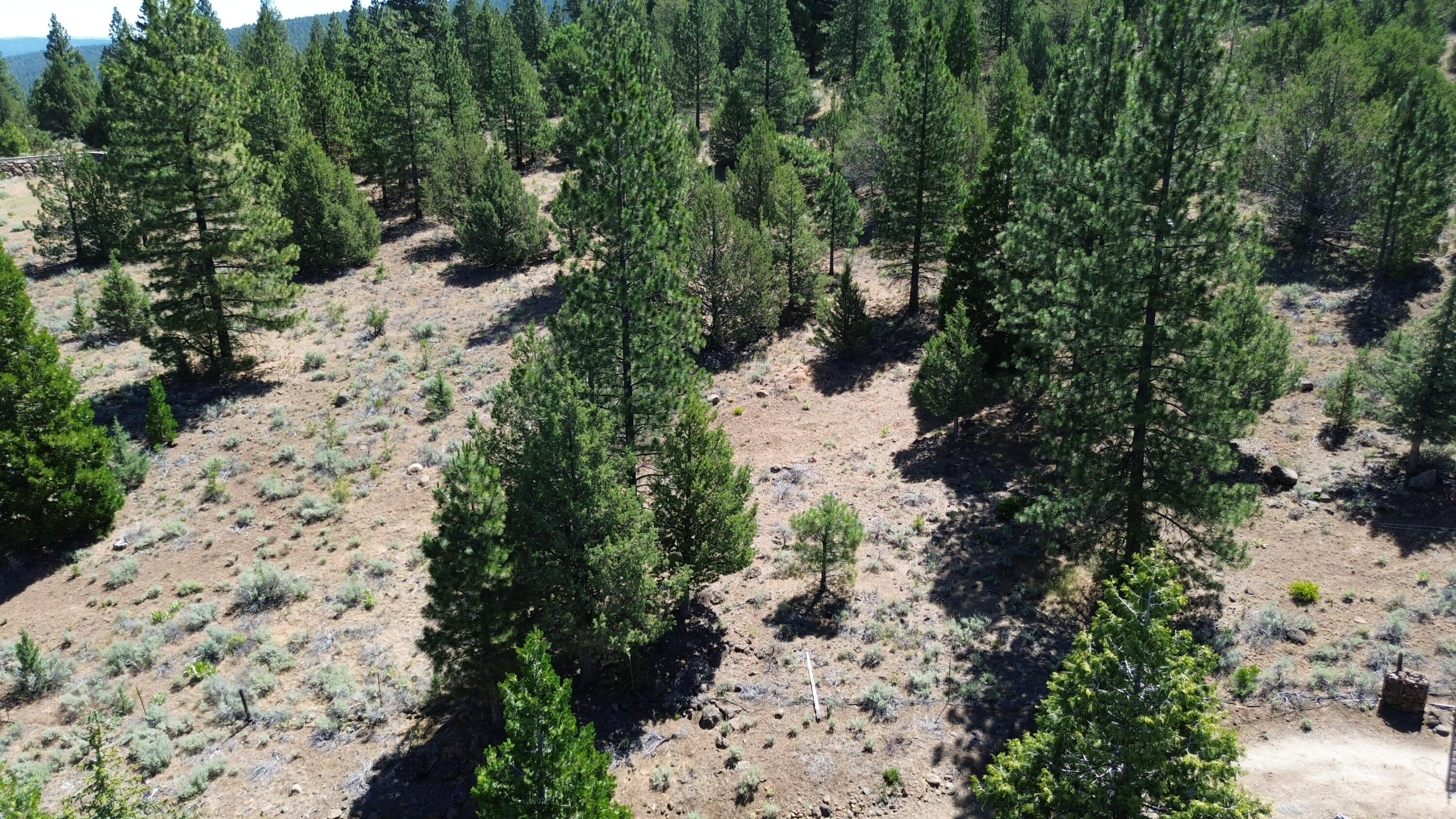 main property photo 124