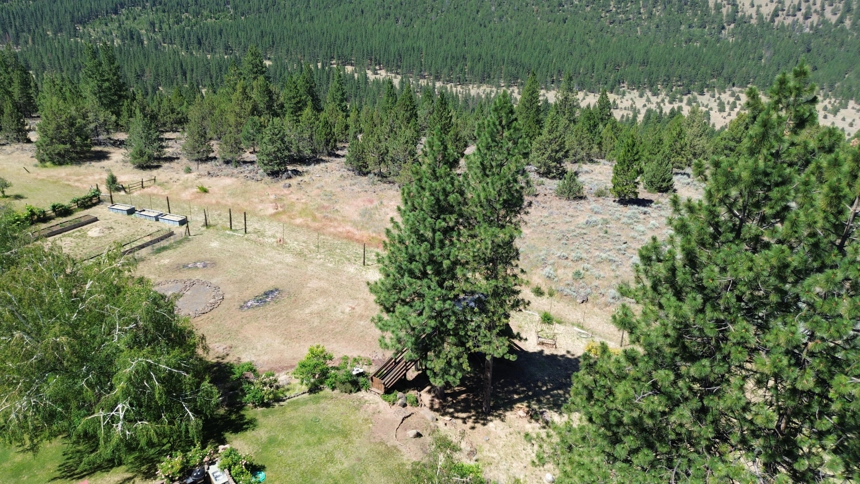 main property photo 125