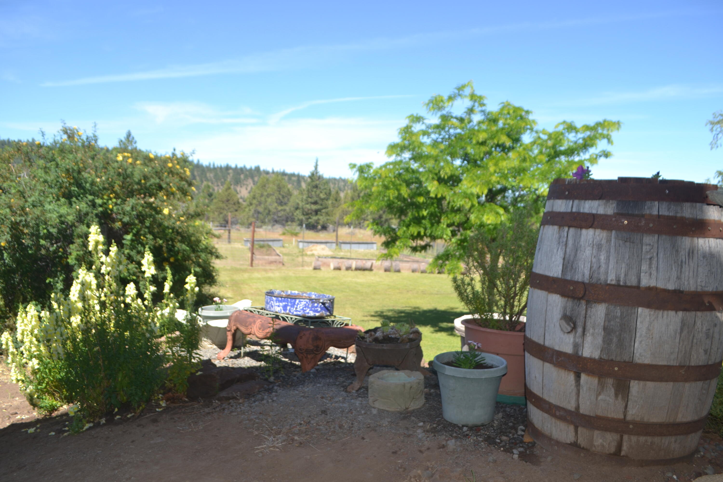 main property photo 92