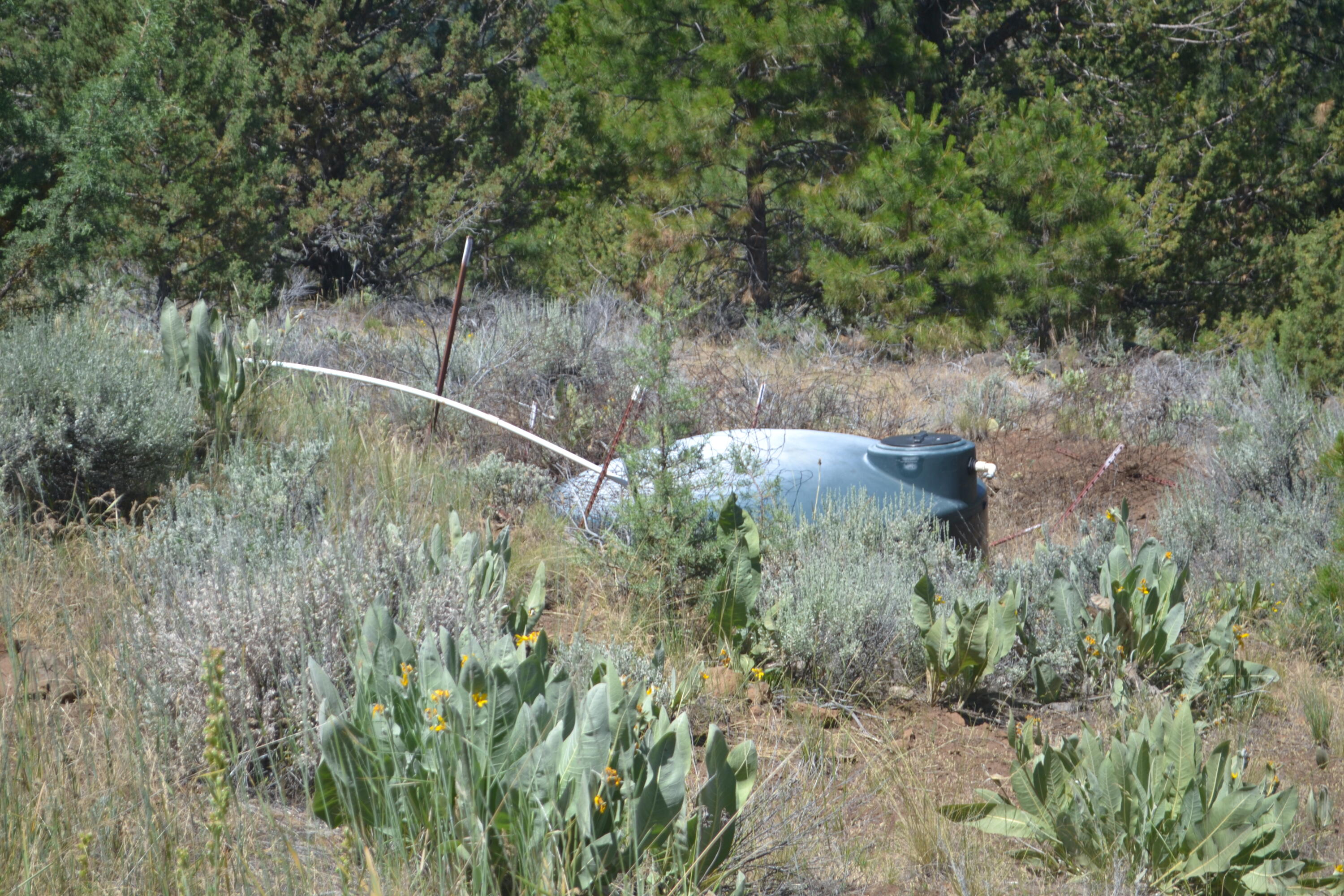 main property photo 98