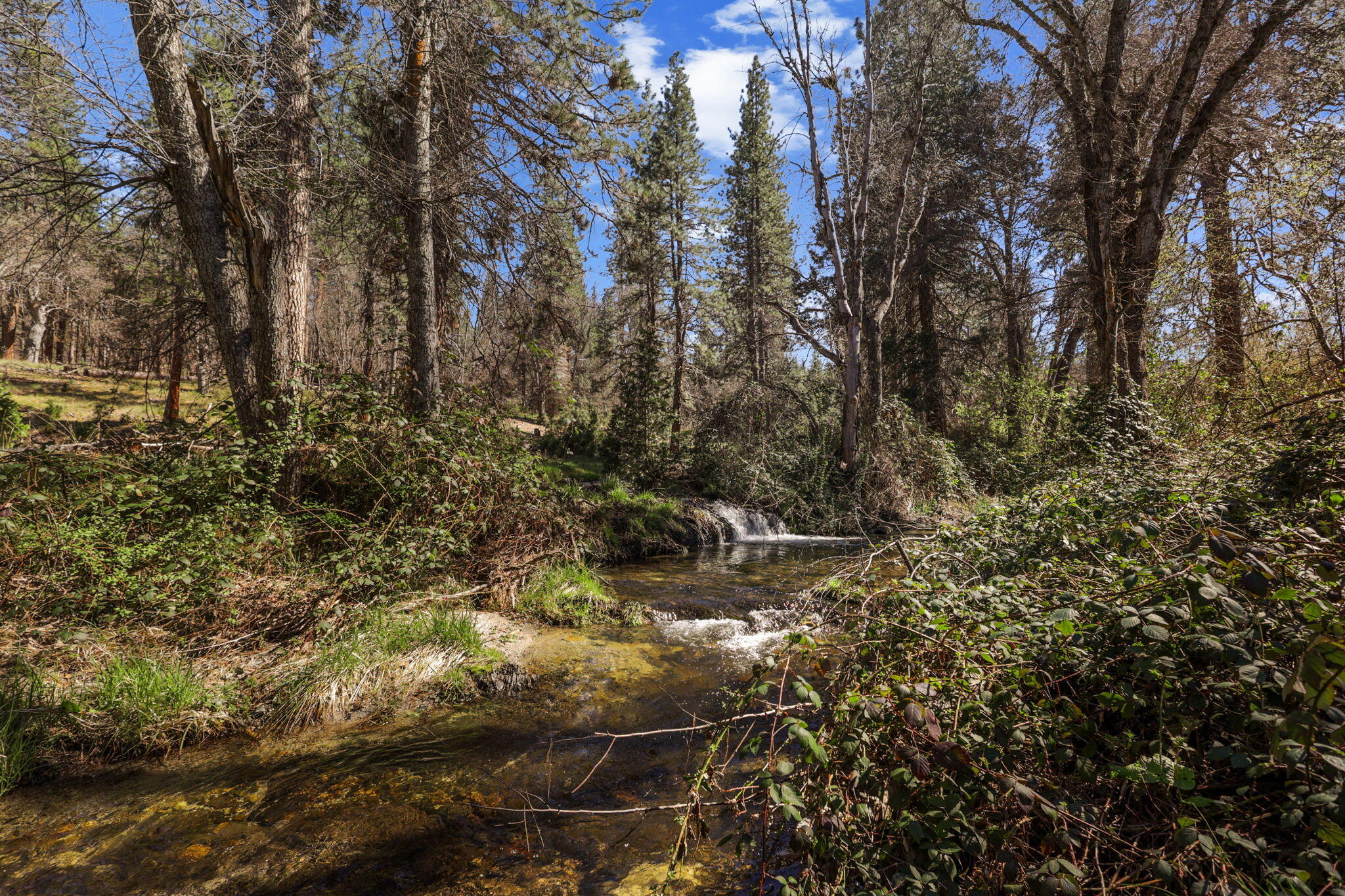 main property photo 100