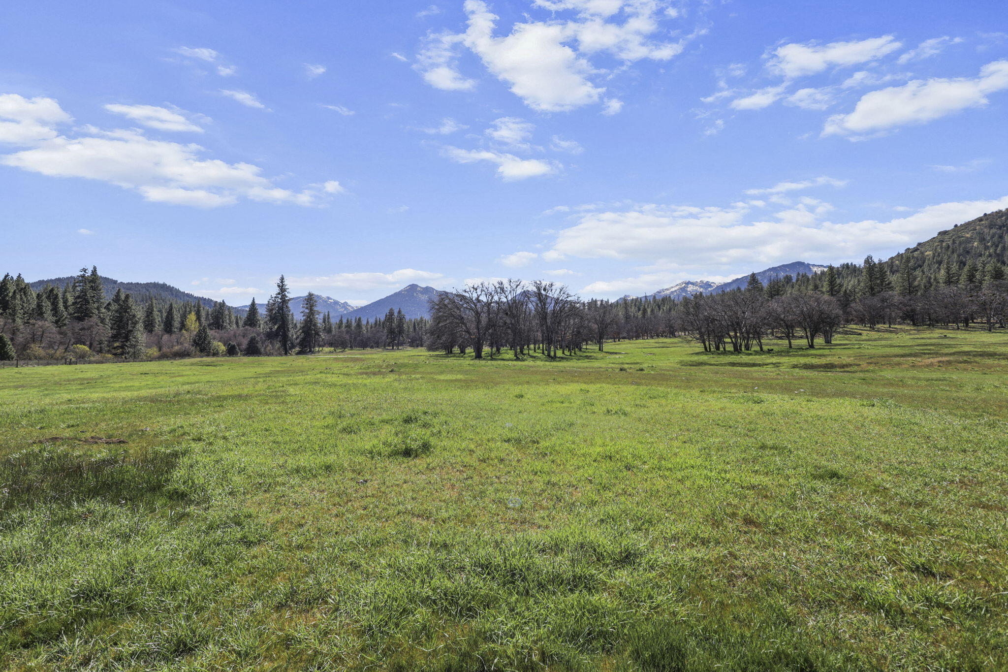 main property photo 86