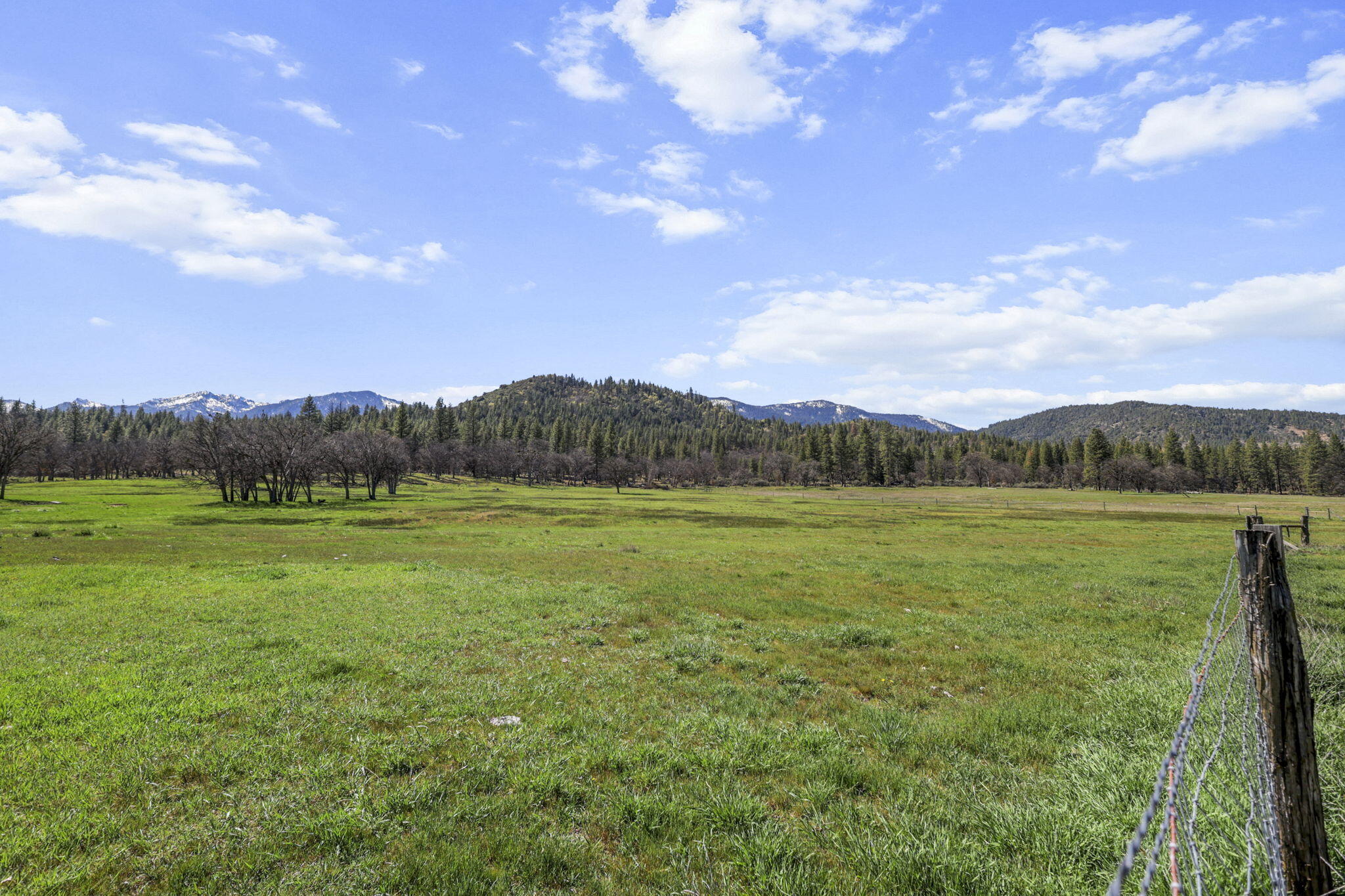 main property photo 87