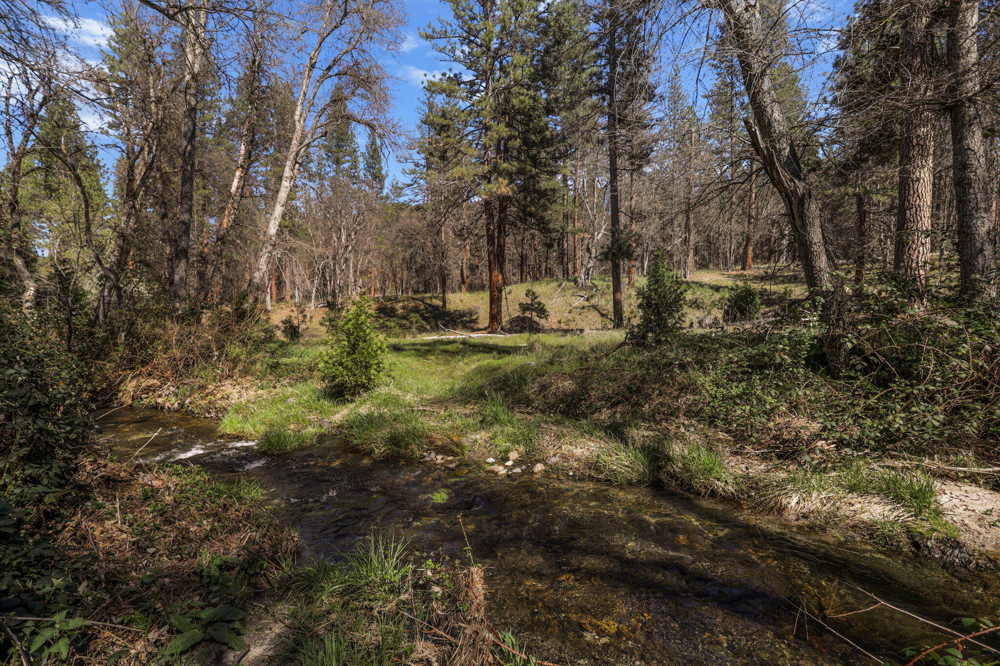 main property photo 99