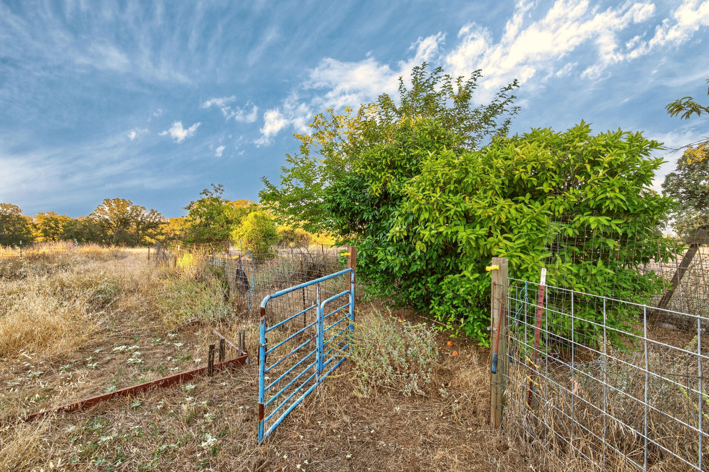 main property photo 41