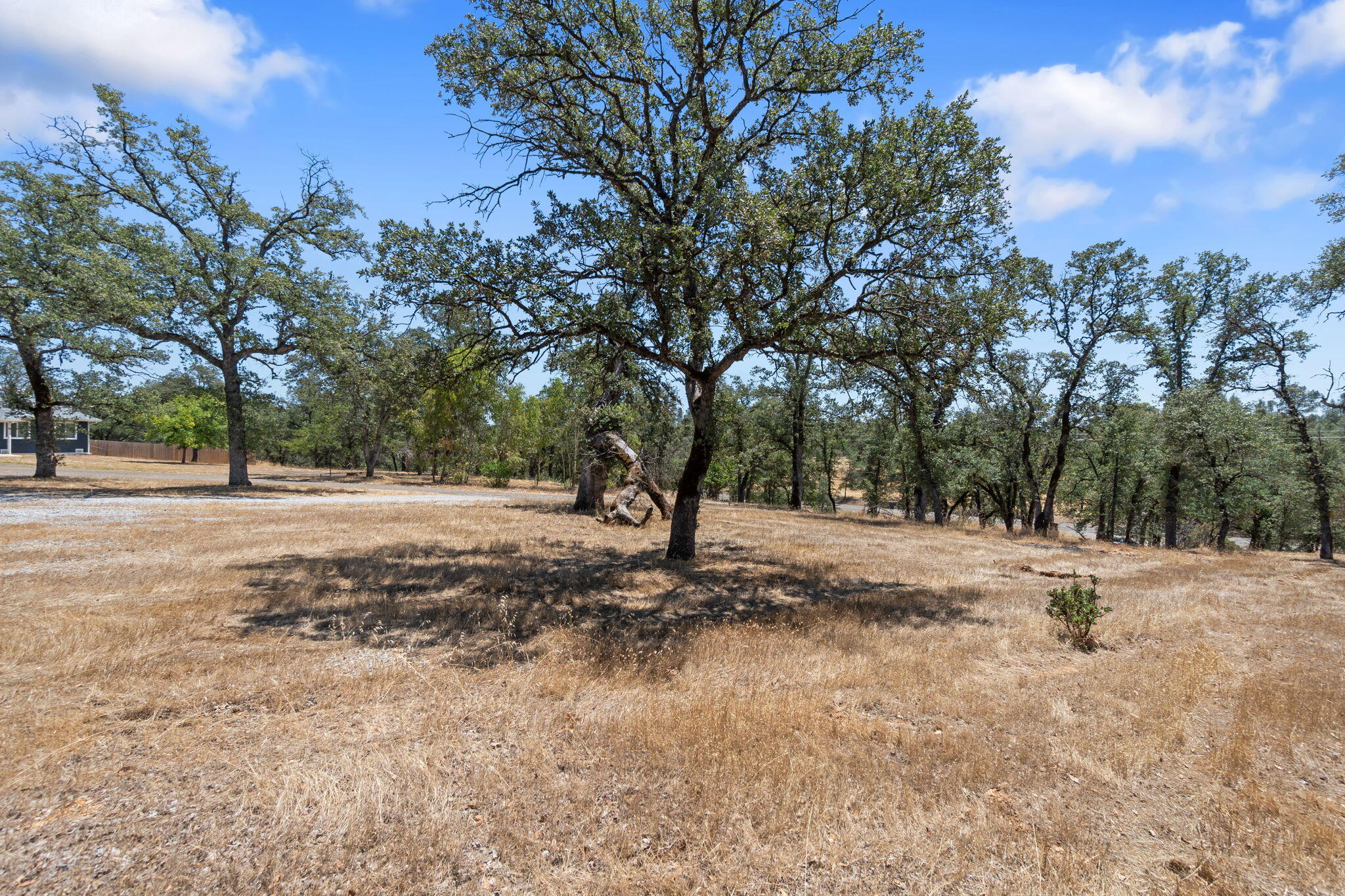 main property photo 59