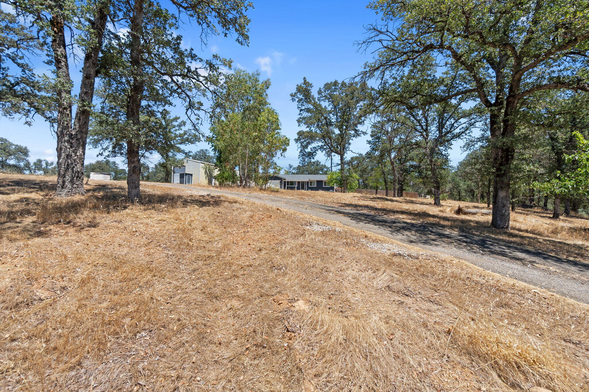 main property photo 61
