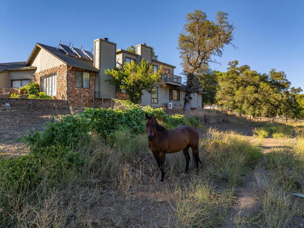 main property photo 63