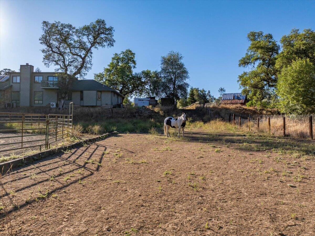 main property photo 64