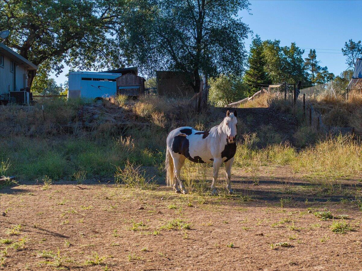 main property photo 65