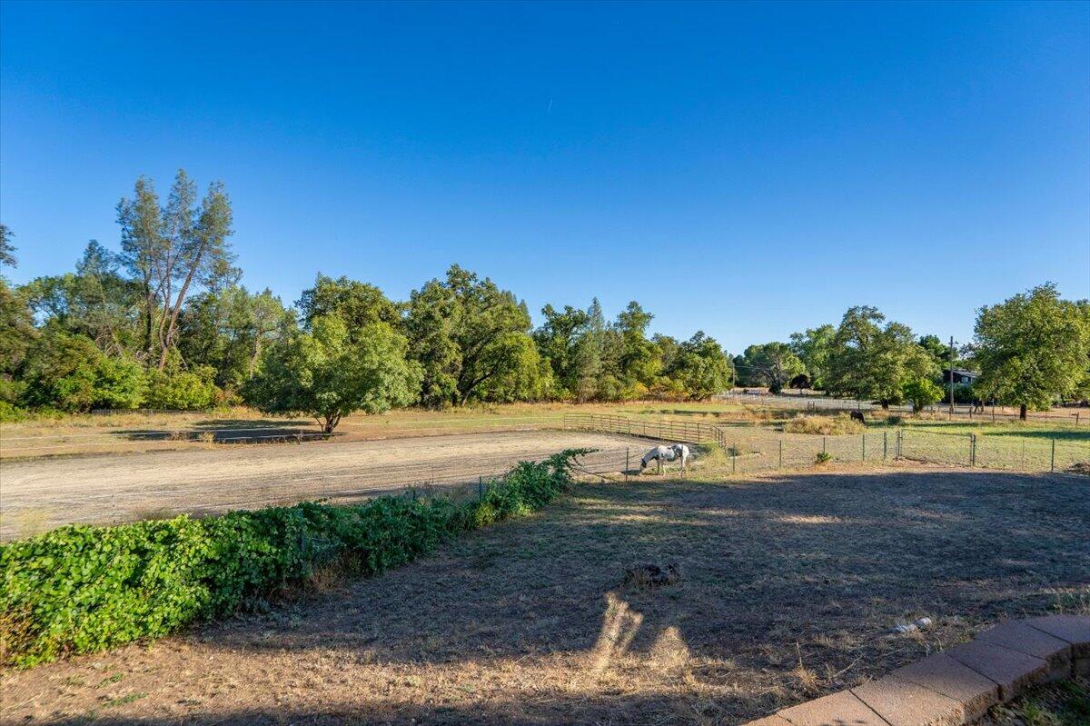 main property photo 78