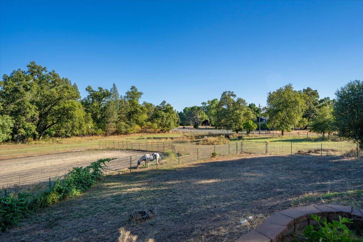 main property photo 79