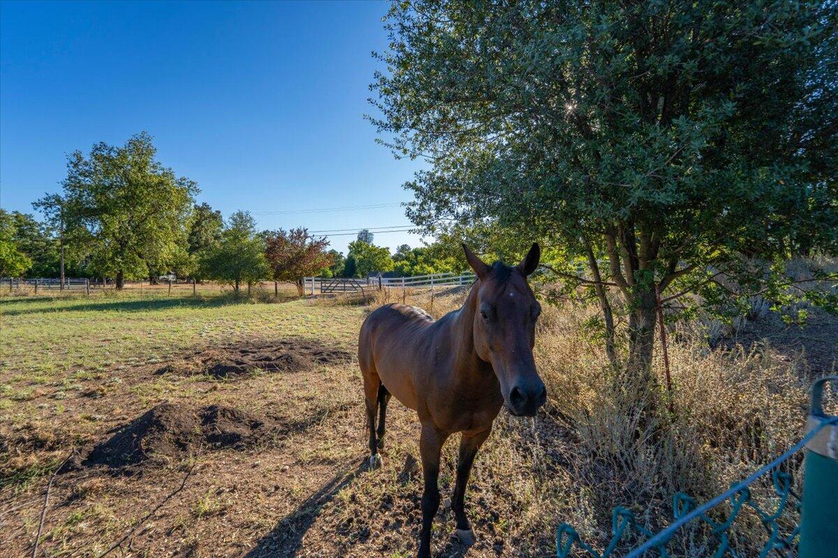 main property photo 91