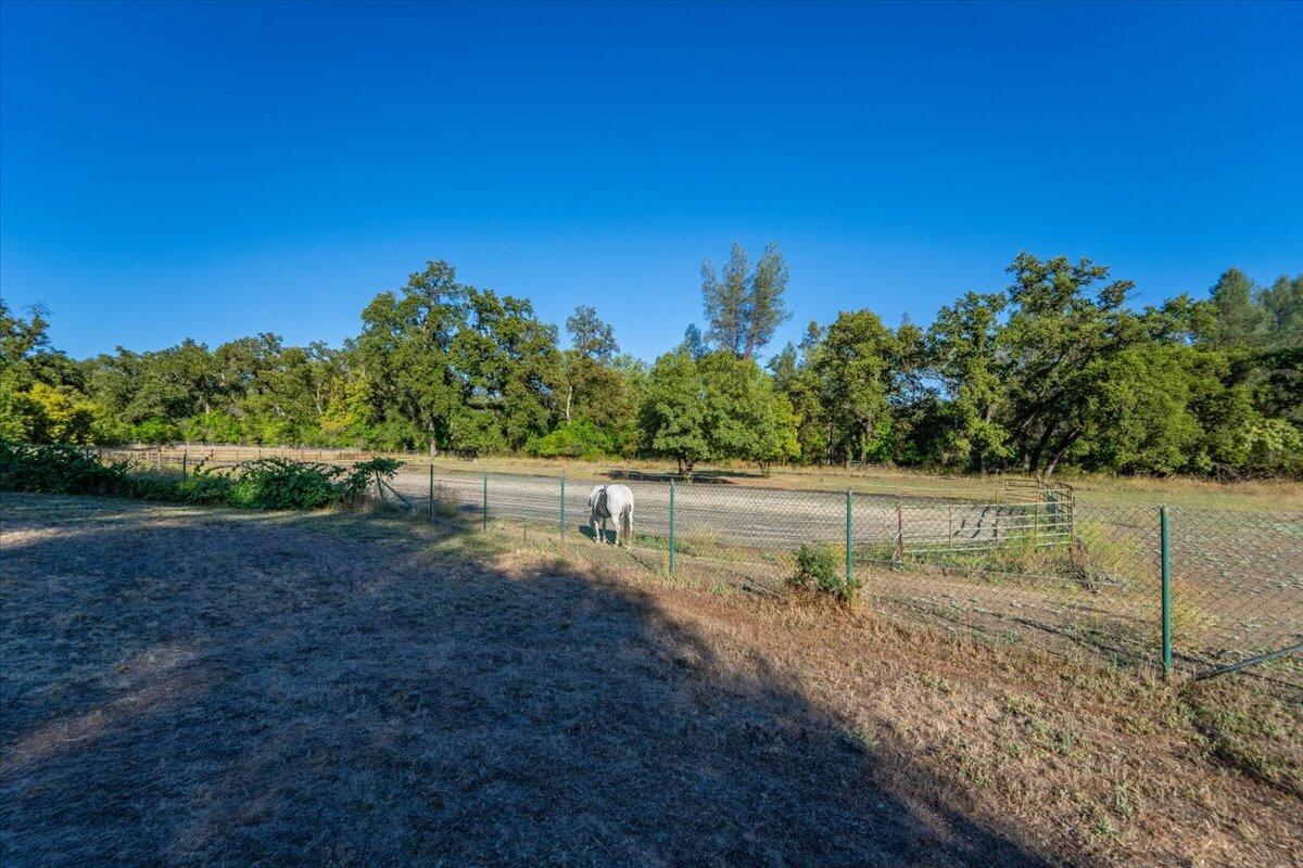 main property photo 93