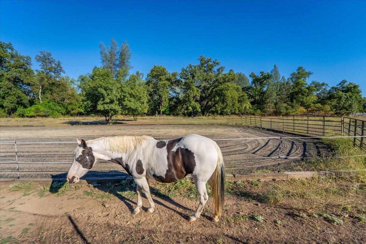 main property photo 94
