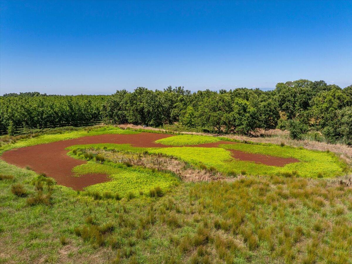 main property photo 64