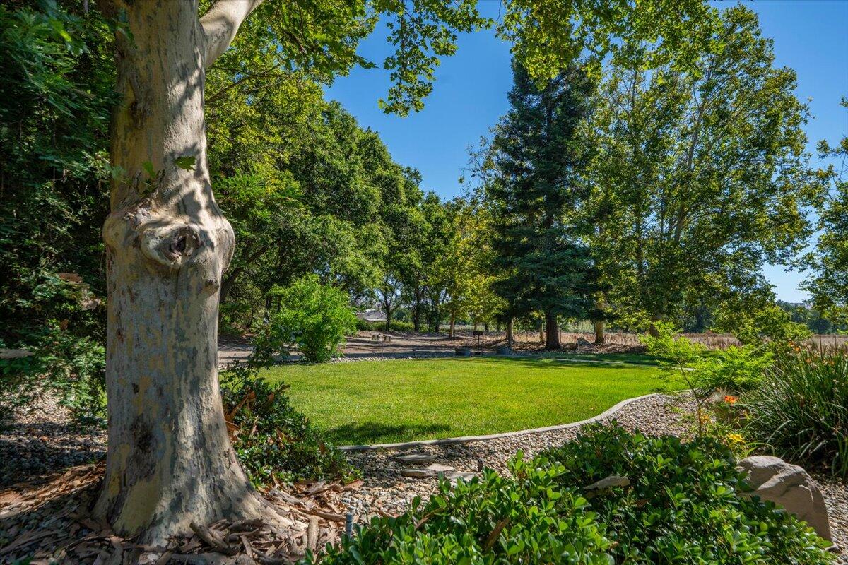 main property photo 84