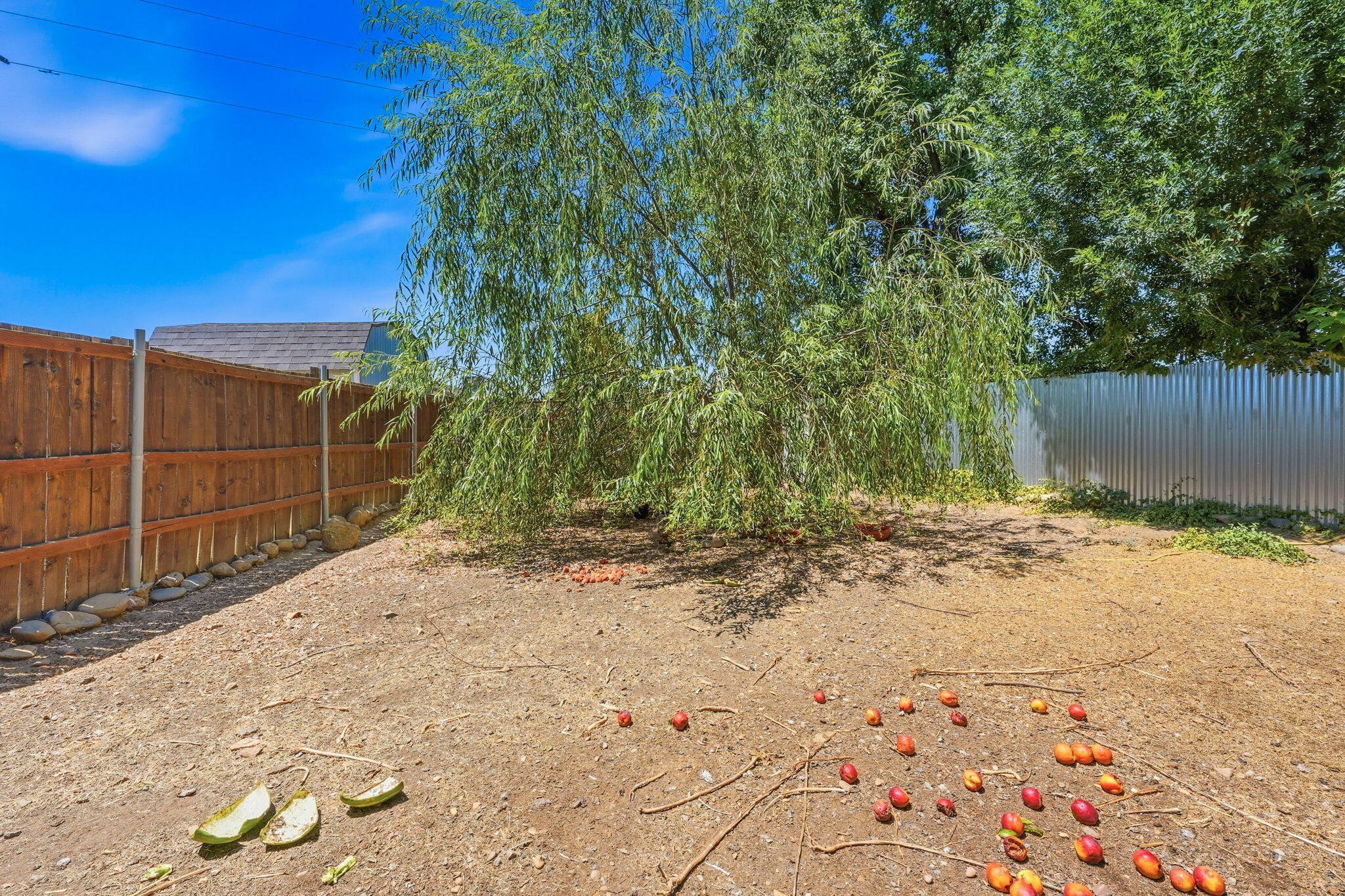 main property photo 14