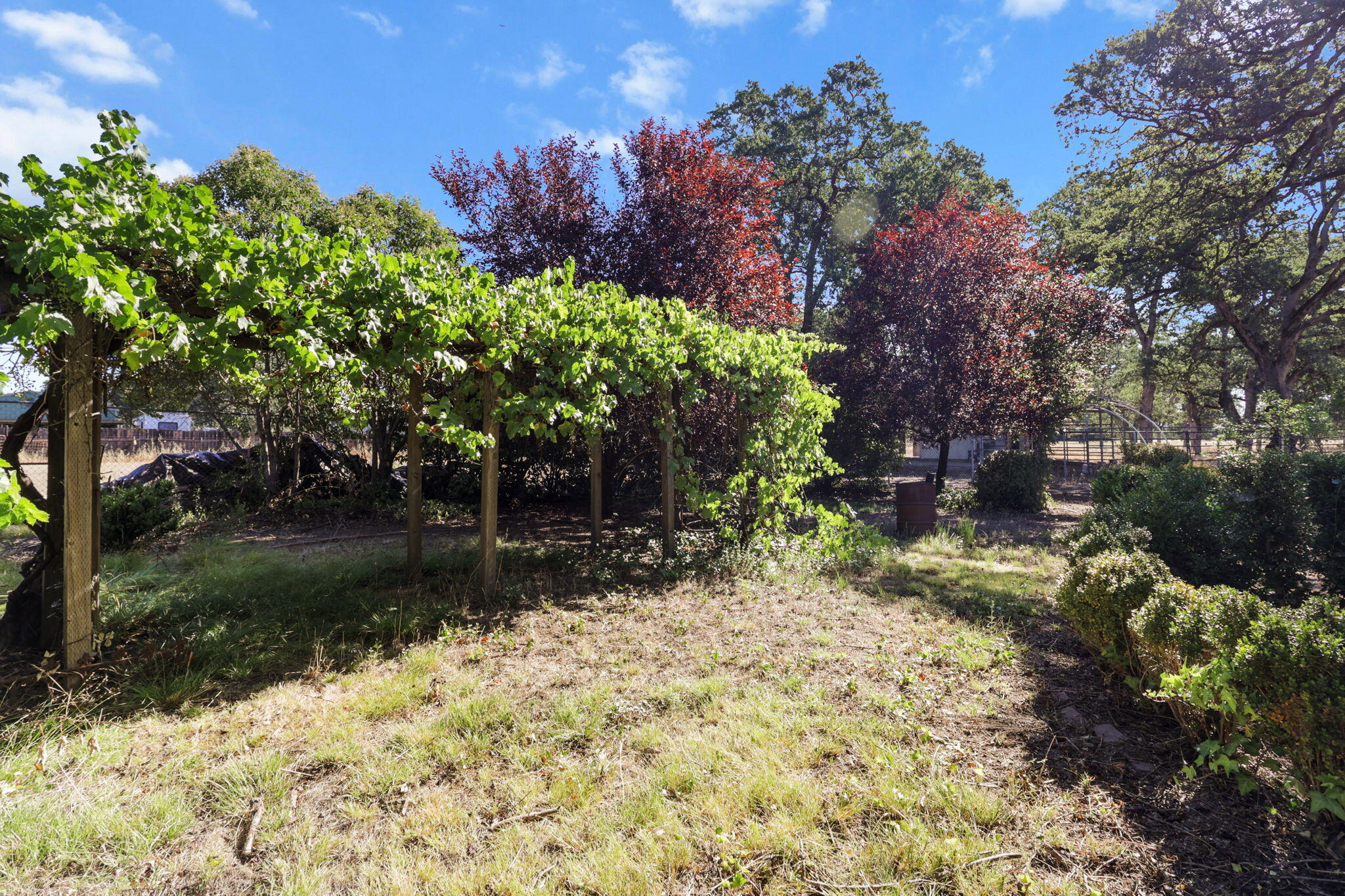 main property photo 41