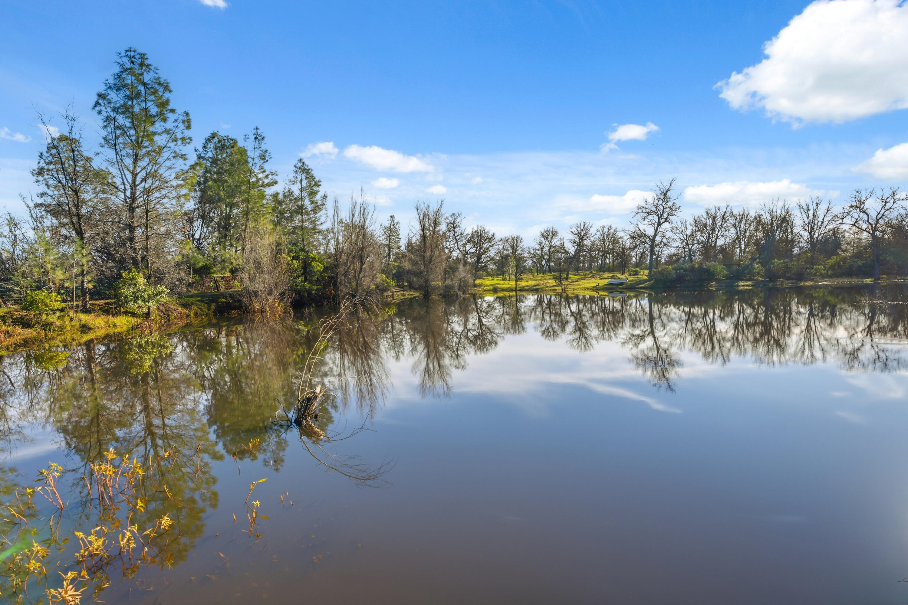 main property photo 44