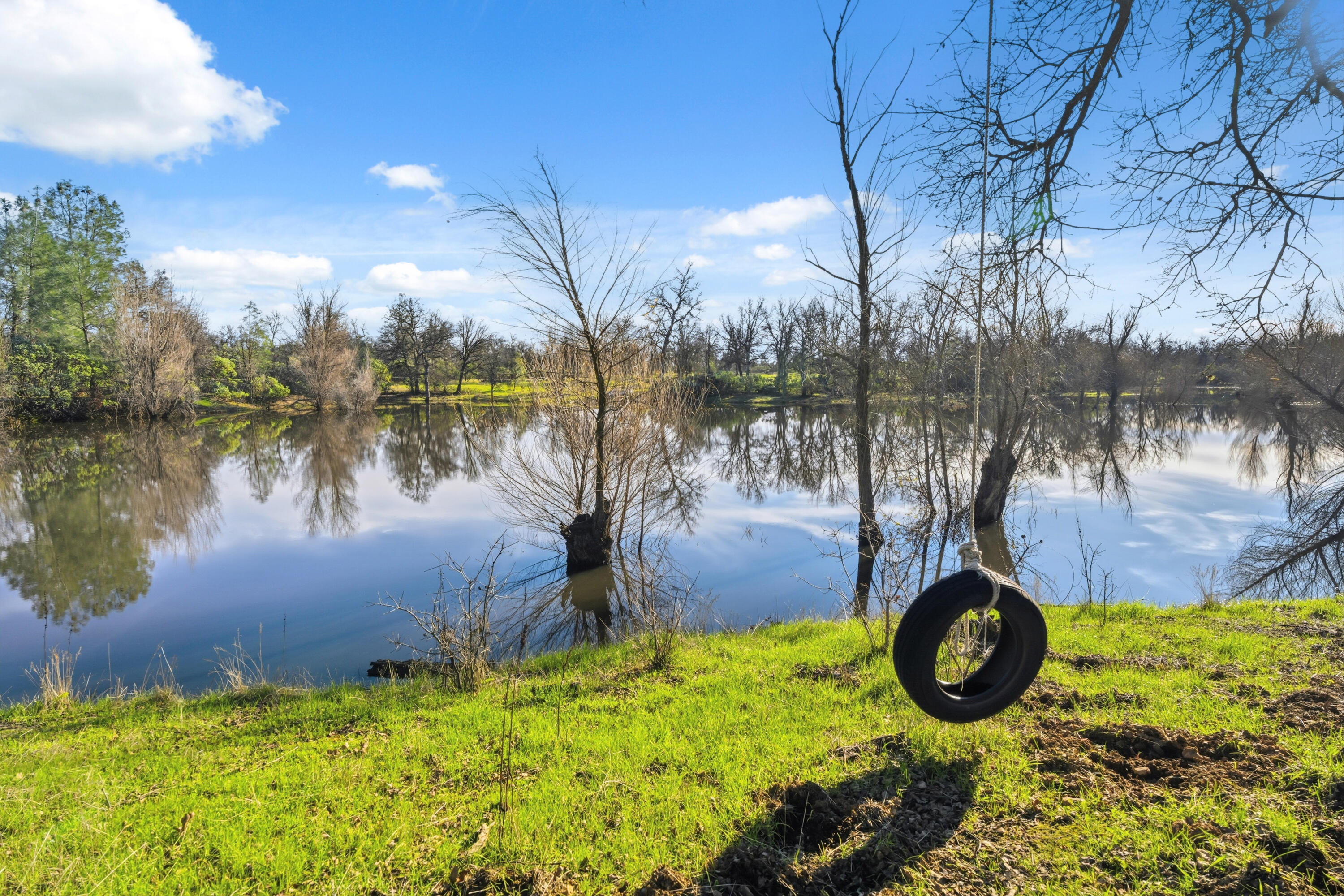 main property photo 56