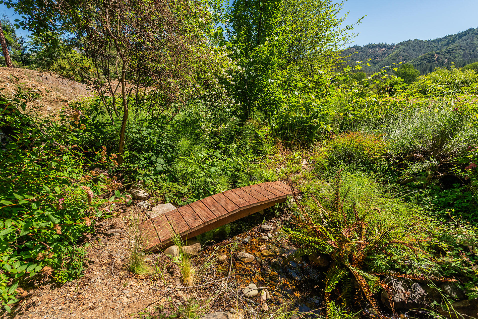 main property photo 53