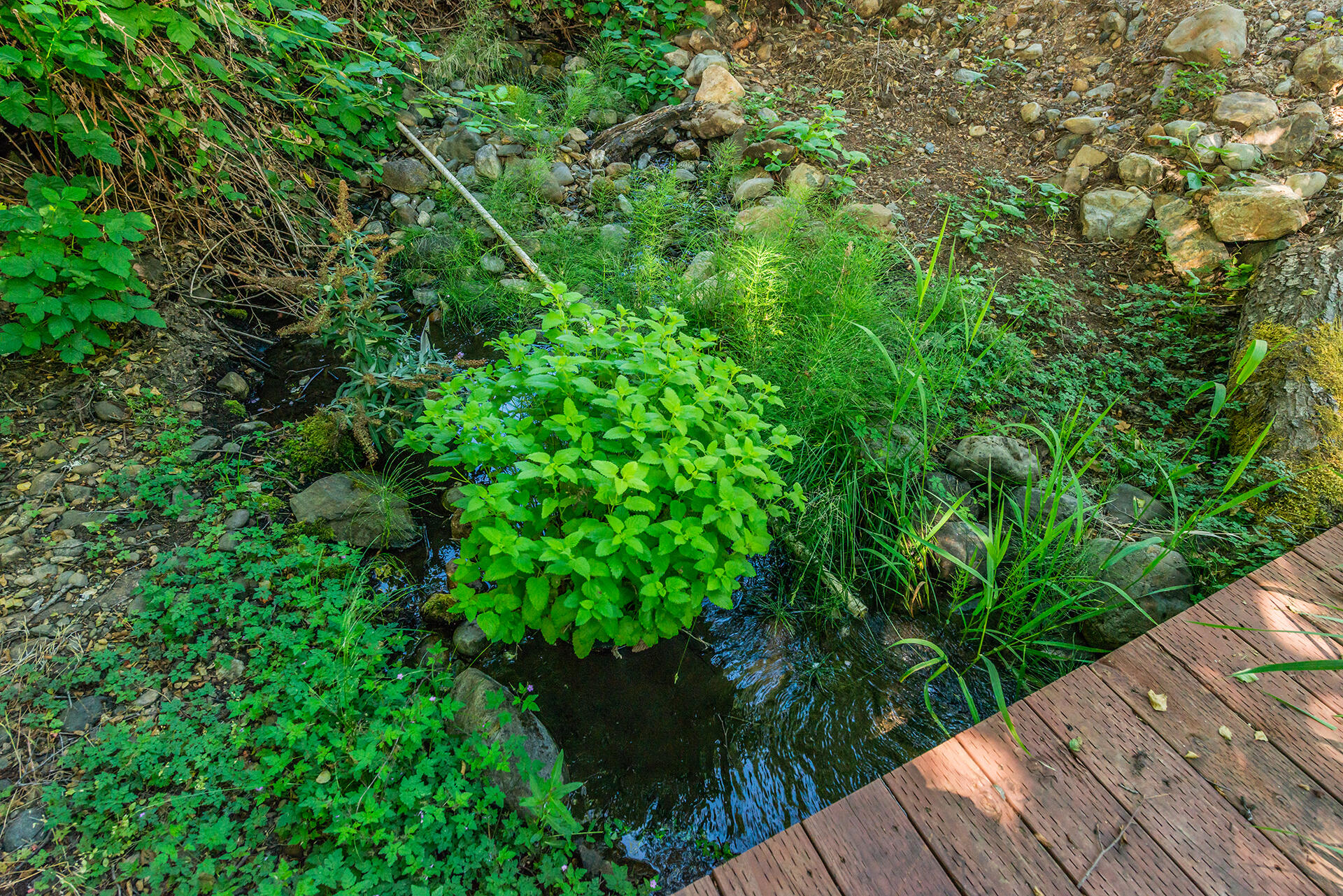 main property photo 66