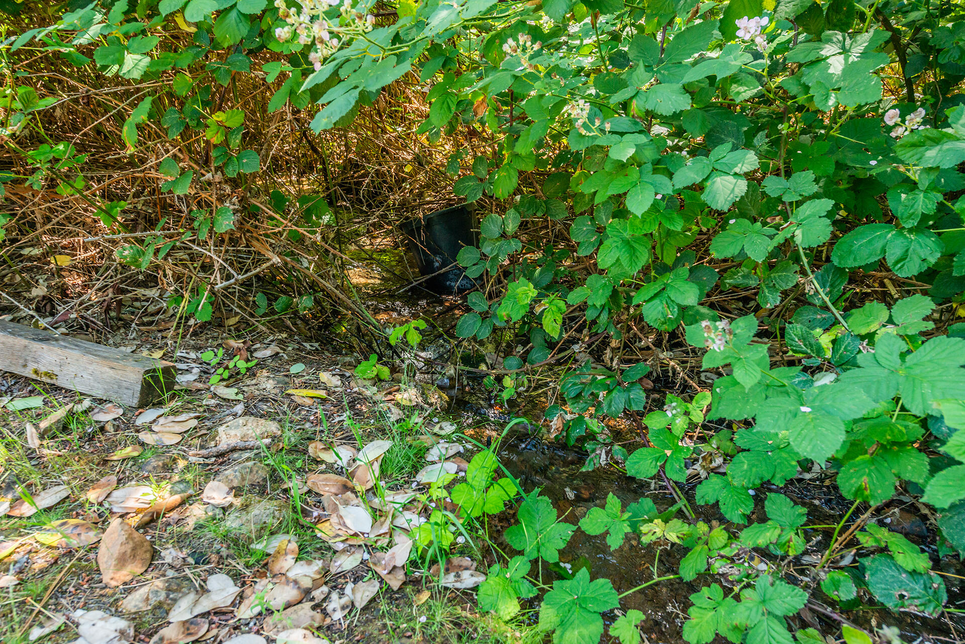 main property photo 94