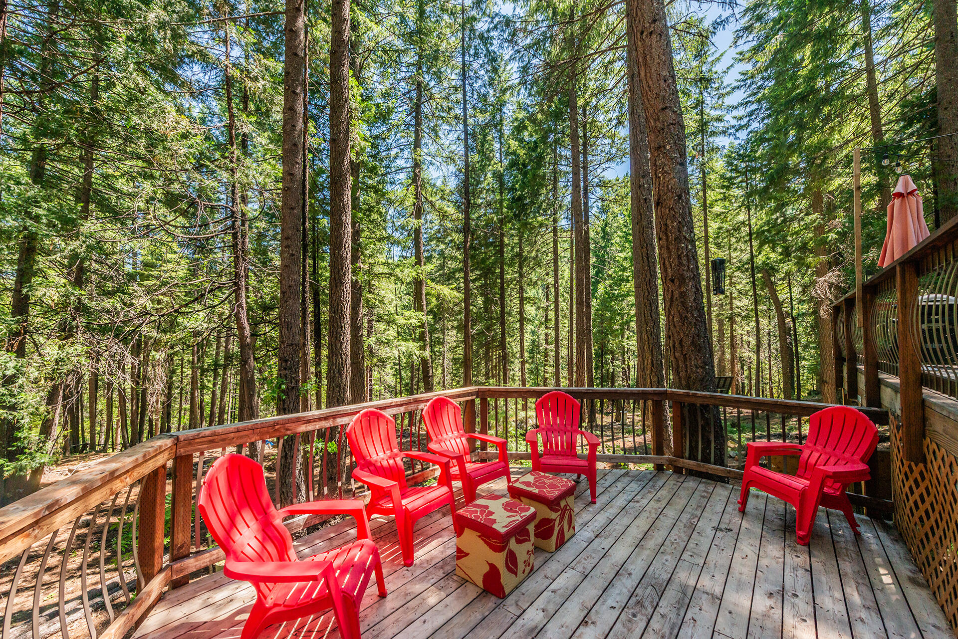 main property photo 81