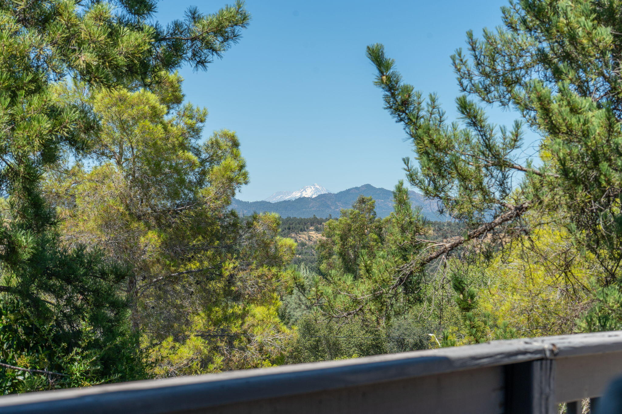 main property photo 67