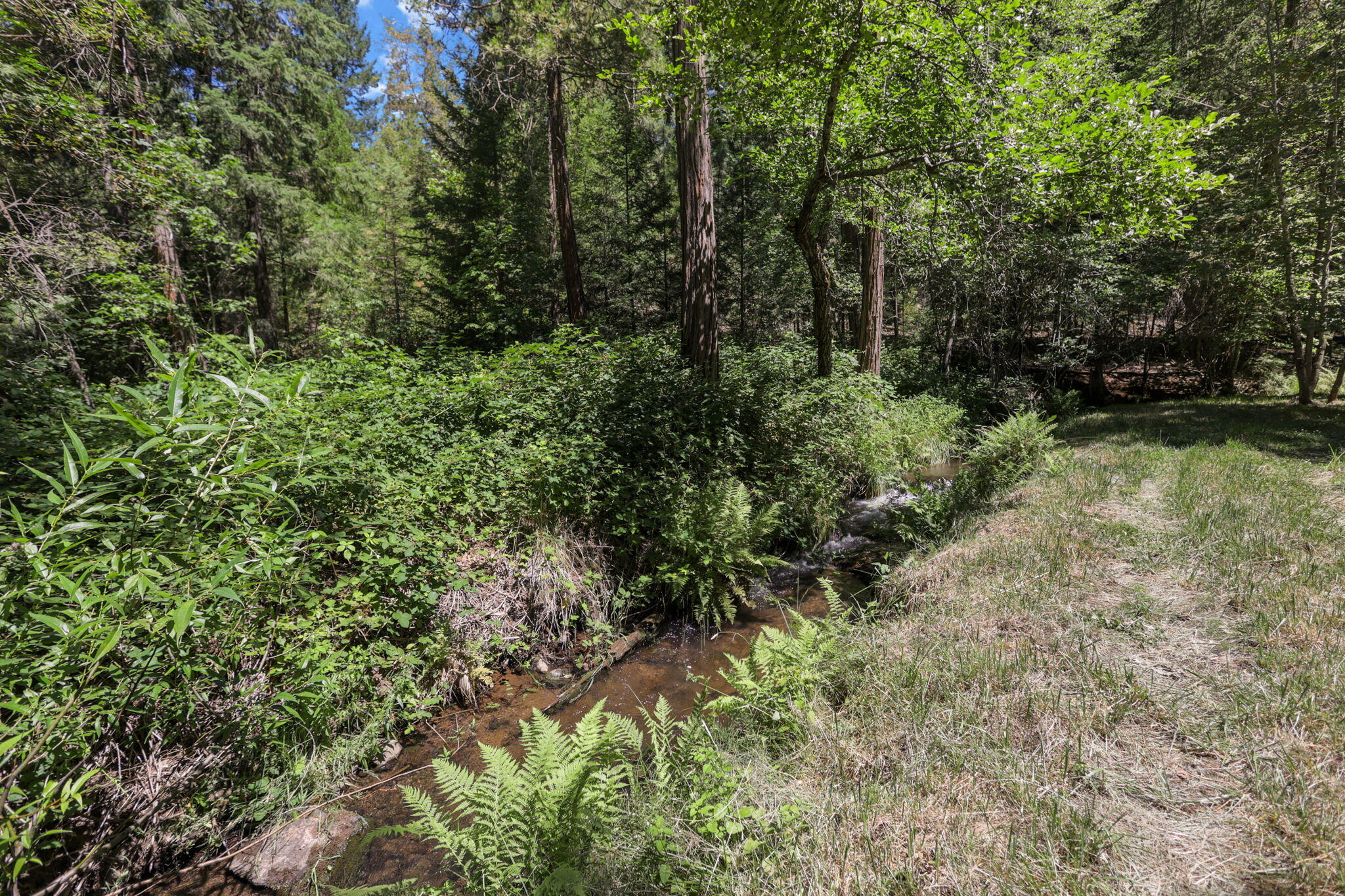 main property photo 54